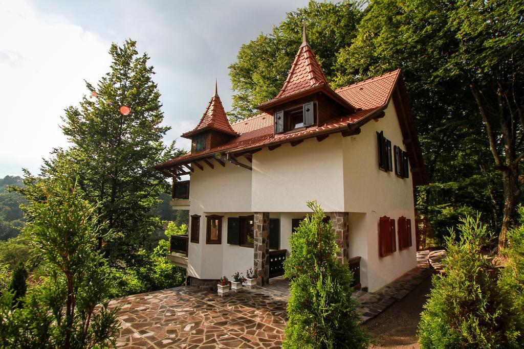 Vila Vista Sovata Exterior photo